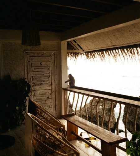 pexels-photo-12030002