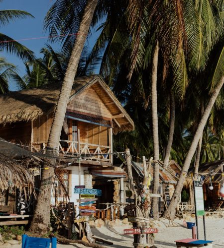 pexels-photo-5599599